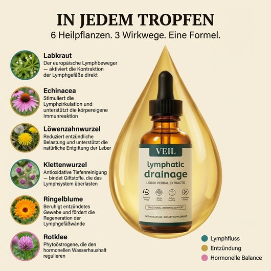 Lymphatische Drainage Tropfen