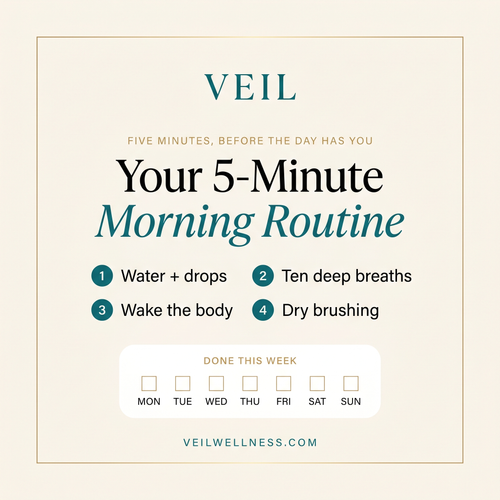 The 5-Minute Morning Routine Card (Free Digital Download)