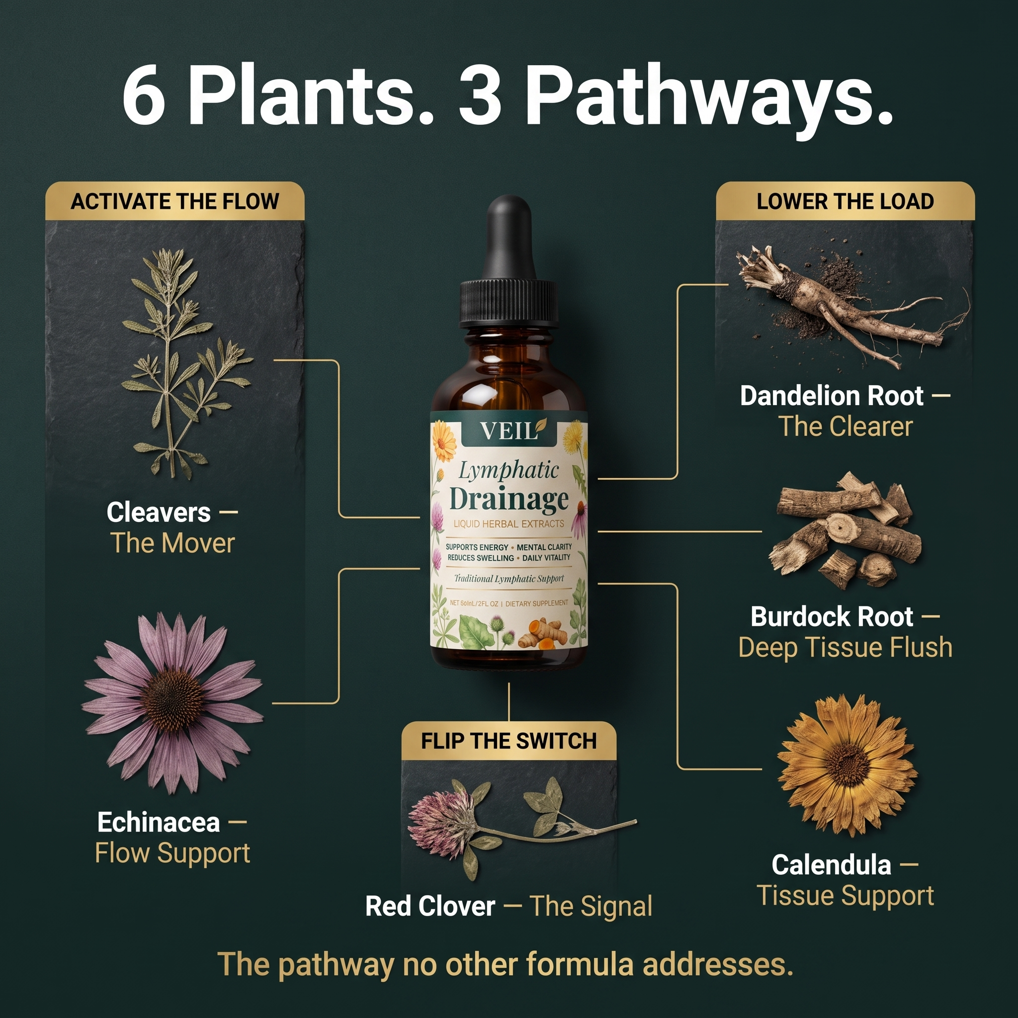 Drain Trapped Fluid & Debloat in as Little as 7 Days With the Plant-Based Lymph Pump