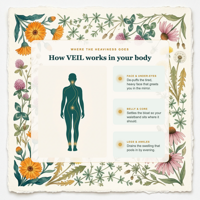 How VEIL works in your body, botanical